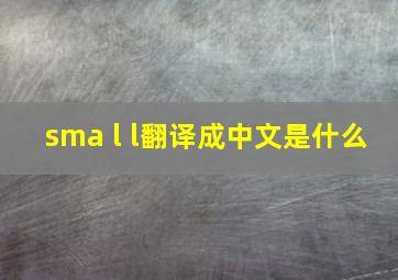 sma l l翻译成中文是什么